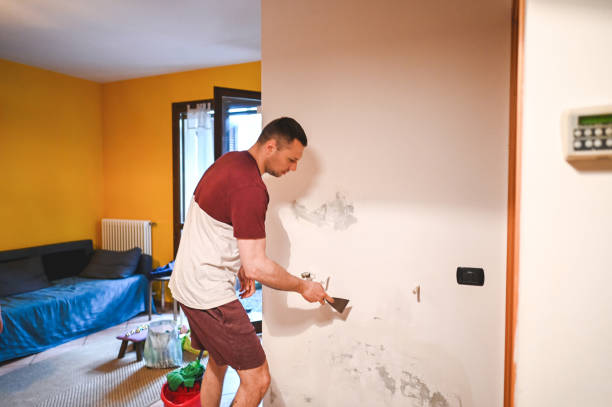 Best DIY Mold Remediation Support Services in Nowthen, MN
